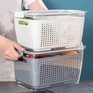 Freshness Storage Box