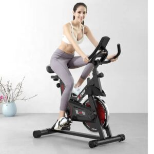 Spin Bike