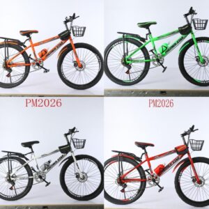 Premier star bike 24 inch