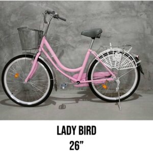 Lady bird bike 26"